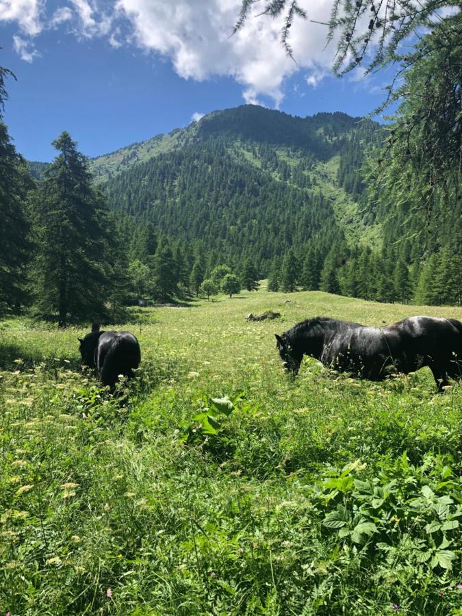 Agriturismo Ciambun Sampeire Exteriér fotografie